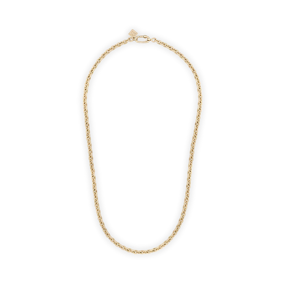Lauren Rubinski Lee Brushed Yellow Gold Forçat Long Chain