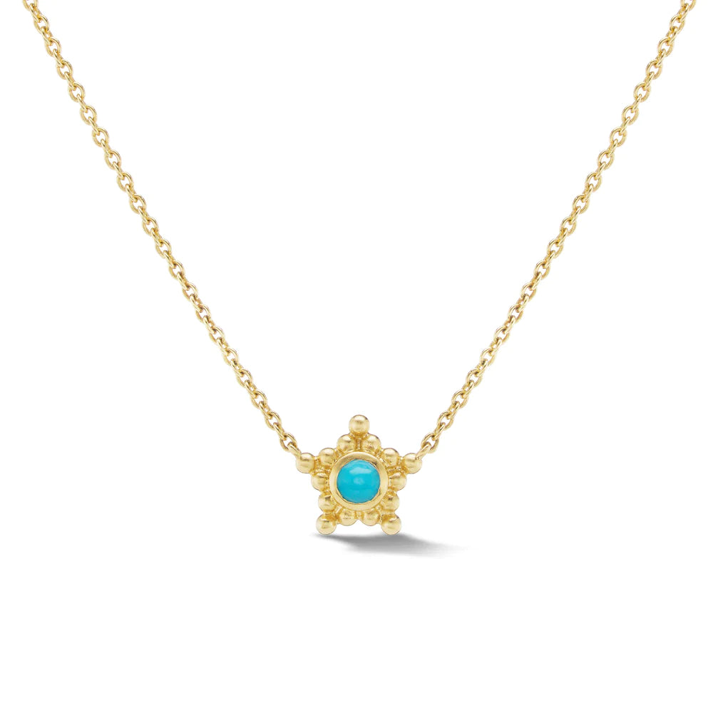 Emily Weld Collins Granium Star Necklace in Turquoise